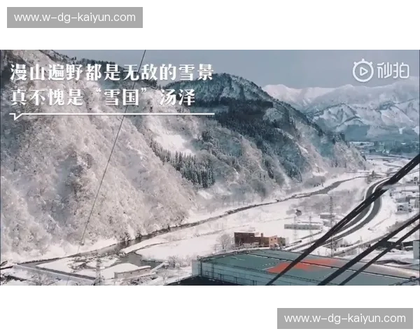 雪国与绿茵的交锋：新泻vs甲府，一场关乎荣耀与梦想的对决
